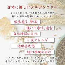 画像をギャラリービューアに読み込む, ヴィーガン対応 グルテンフリー 肉を使わない肉みそ(3食)